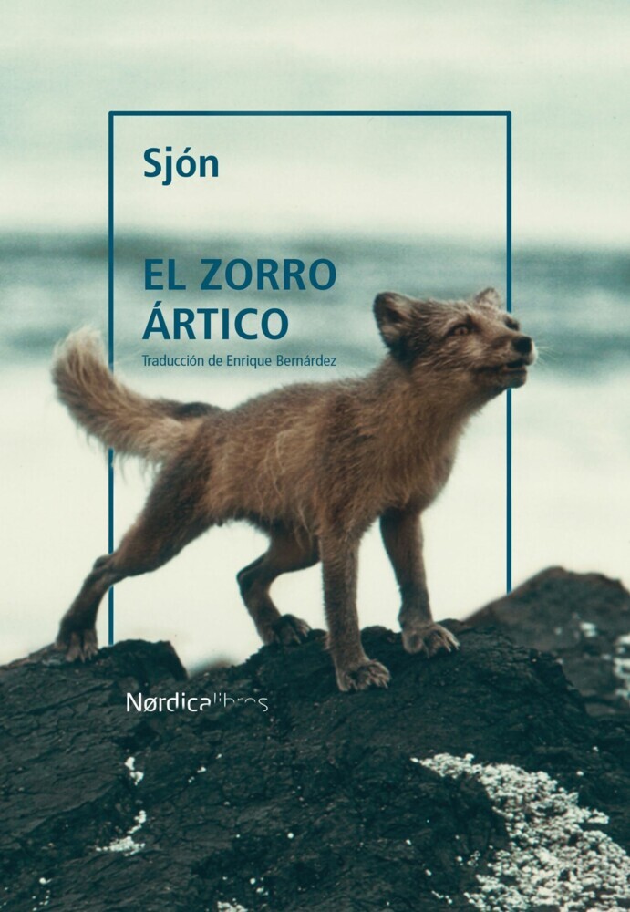 El zorro ártico main product photo