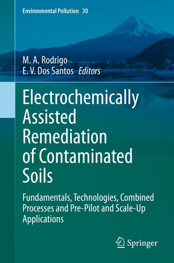 Electrochemically Assisted Remediation of Contaminated Soils main product photo