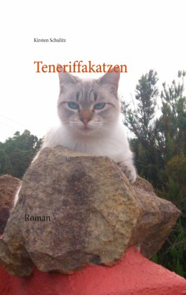 Teneriffakatzen