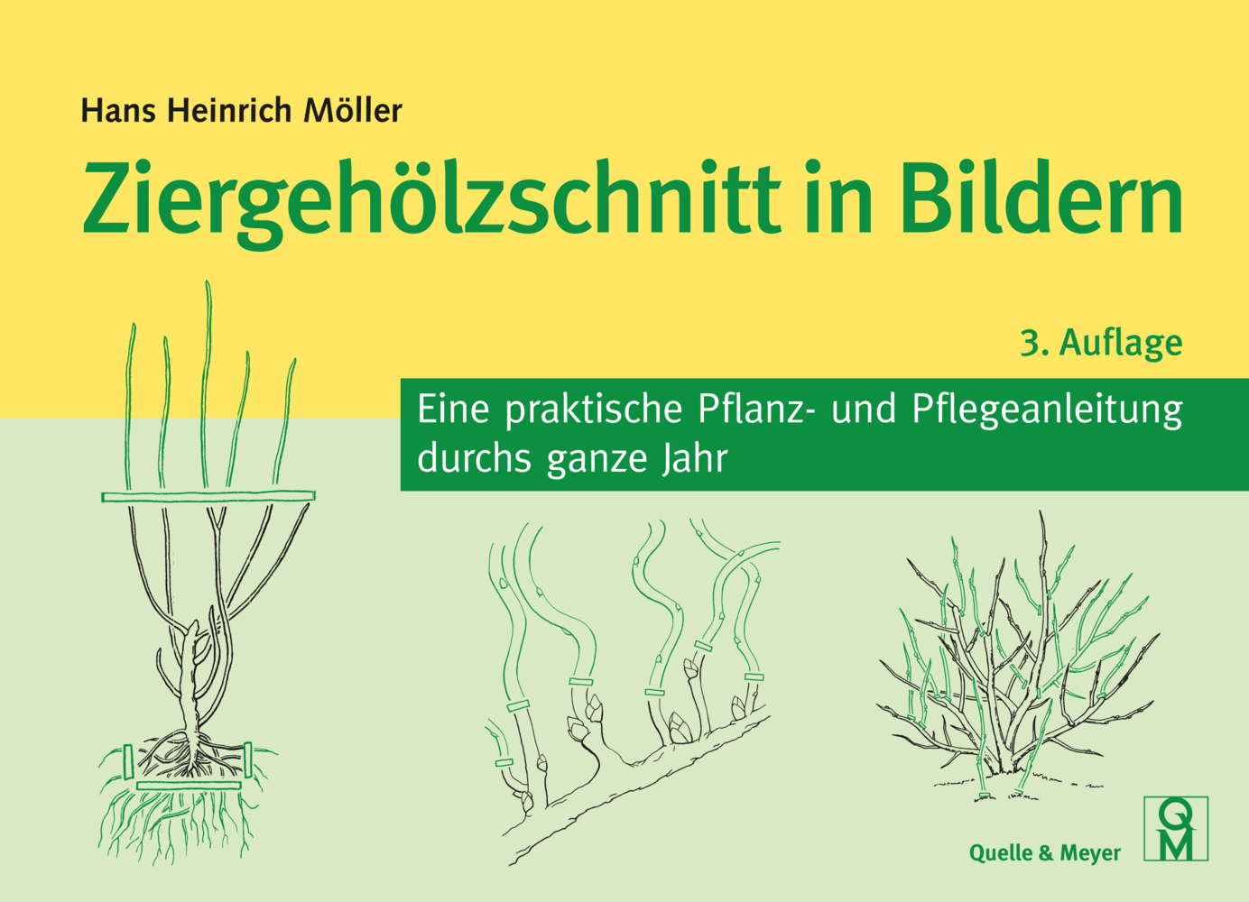 Ziergehölzschnitt in Bildern main product photo