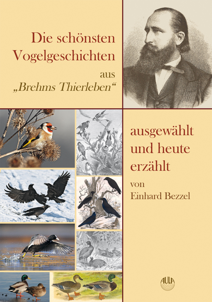 Die schönsten Vogelgeschichten aus "Brehms Thierleben" - ausgewählt und heute erzählt main product photo