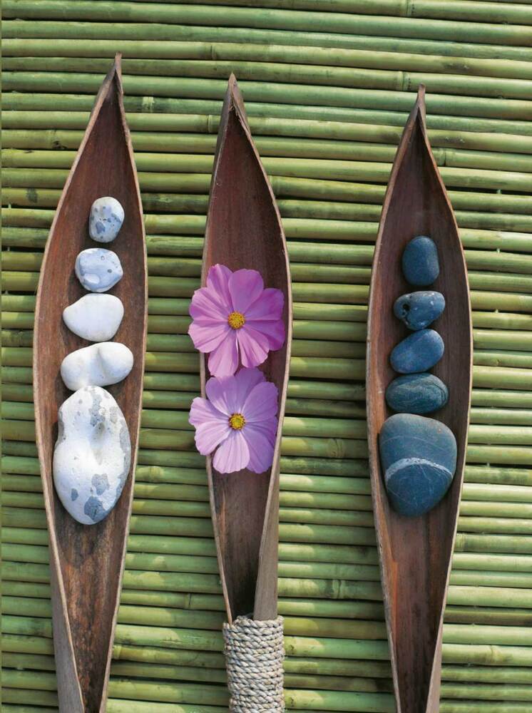 Zen Nature main product photo