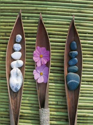 Zen Nature
