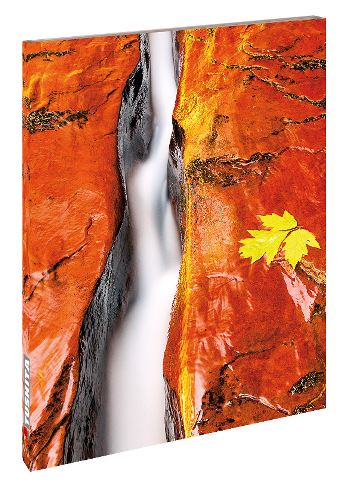 Zen Nature main product photo