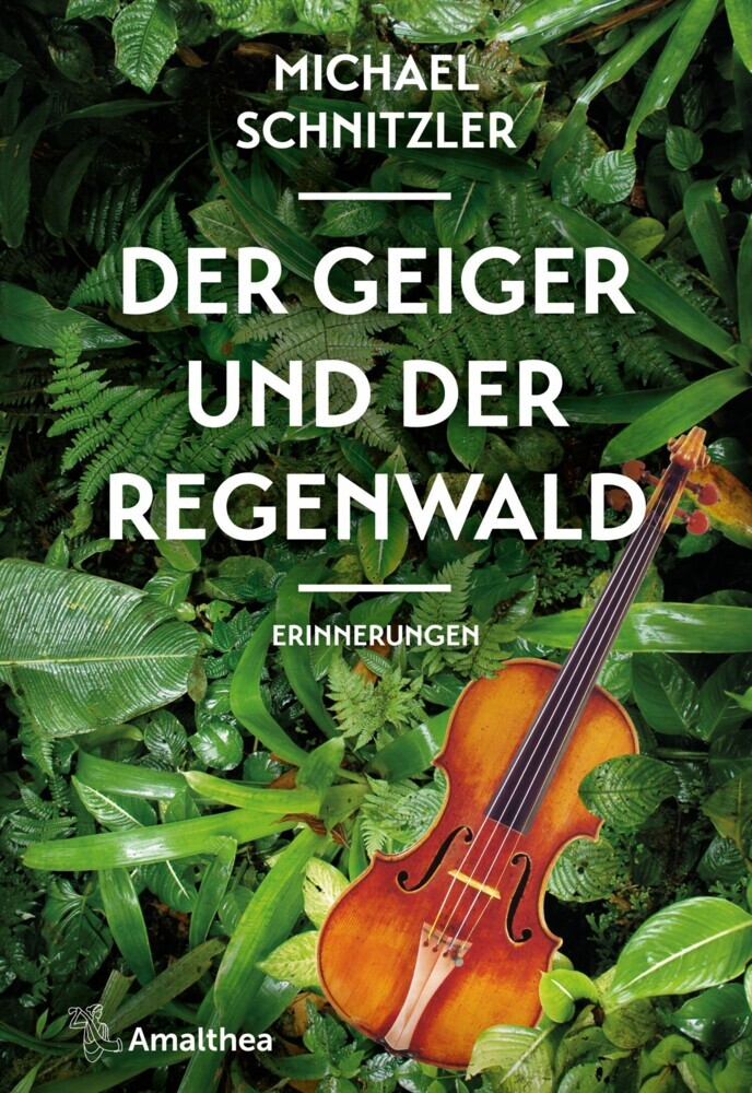 Der Geiger und der Regenwald main product photo