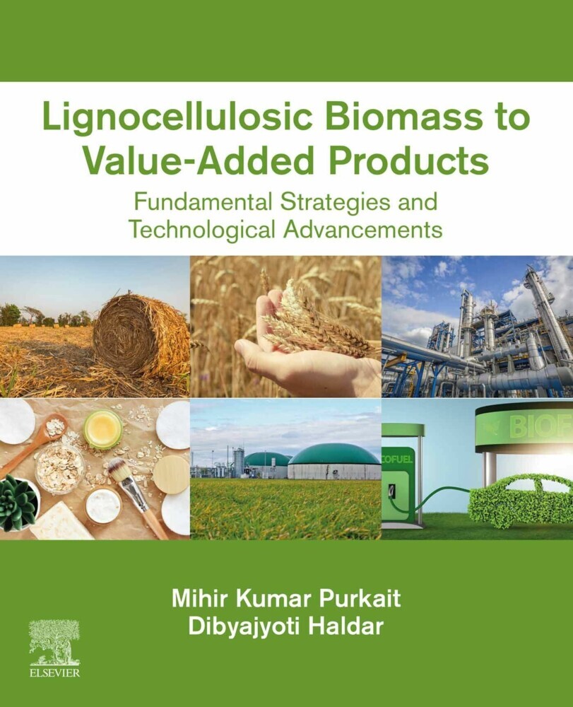 Lignocellulosic Biomass to Value-Added Products main product photo
