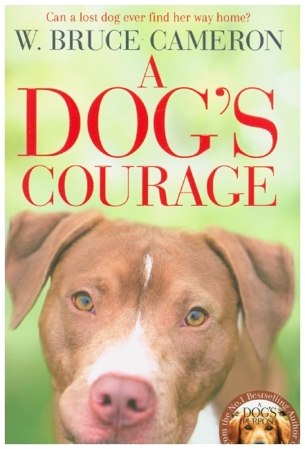A Dog's Courage main product photo