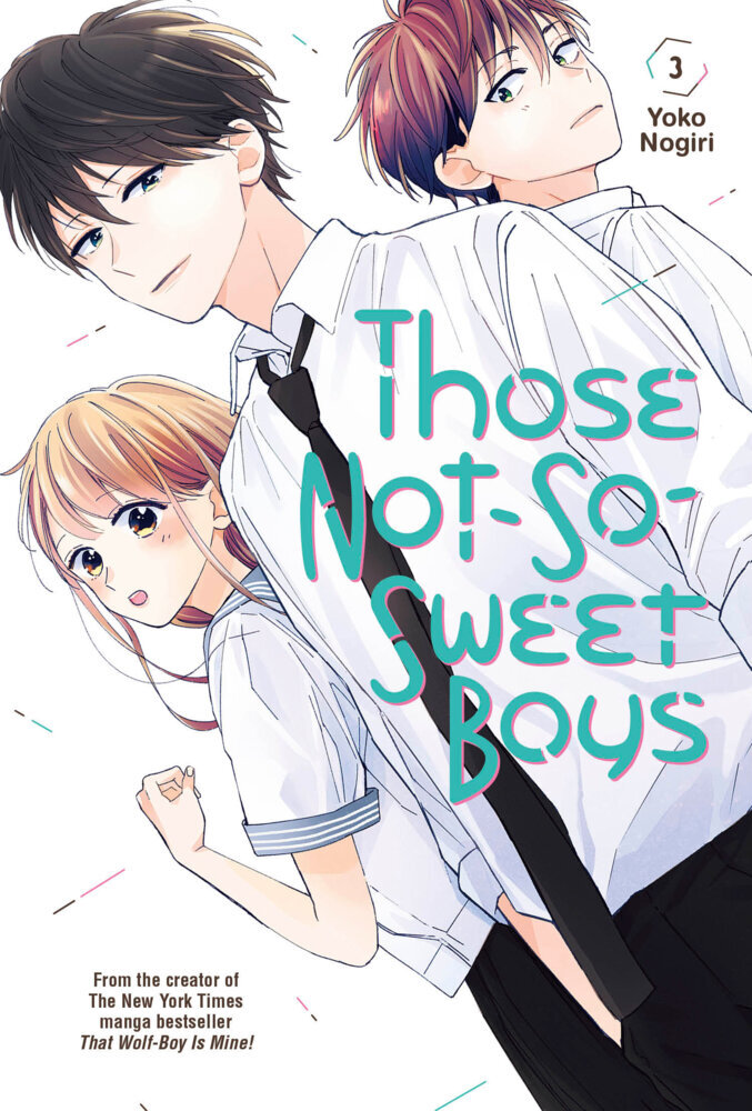 Those Not-So-Sweet Boys 3 main product photo
