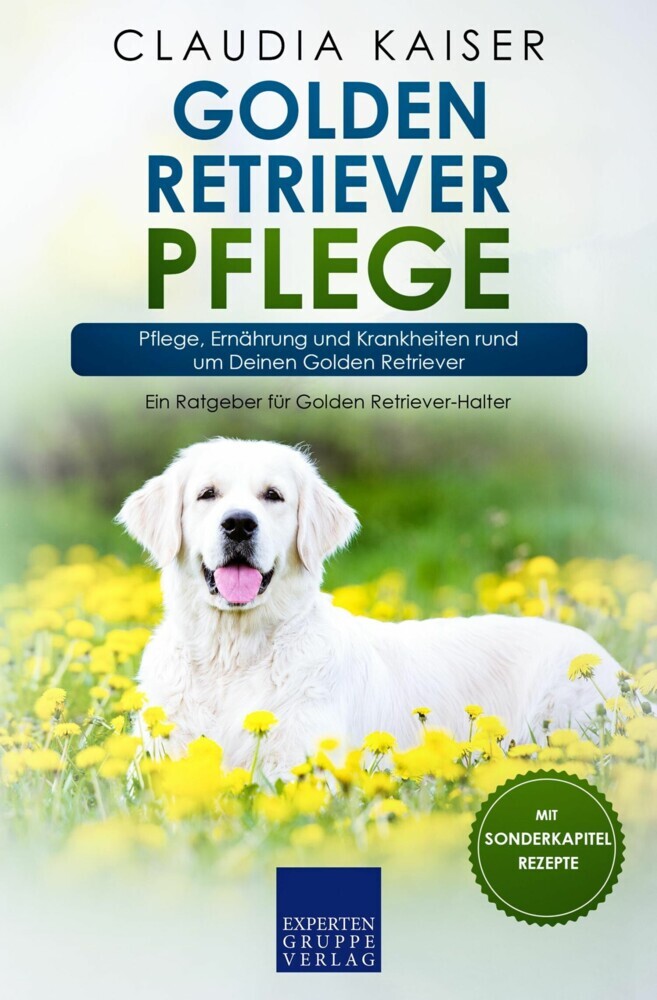 Golden Retriever Pflege main product photo