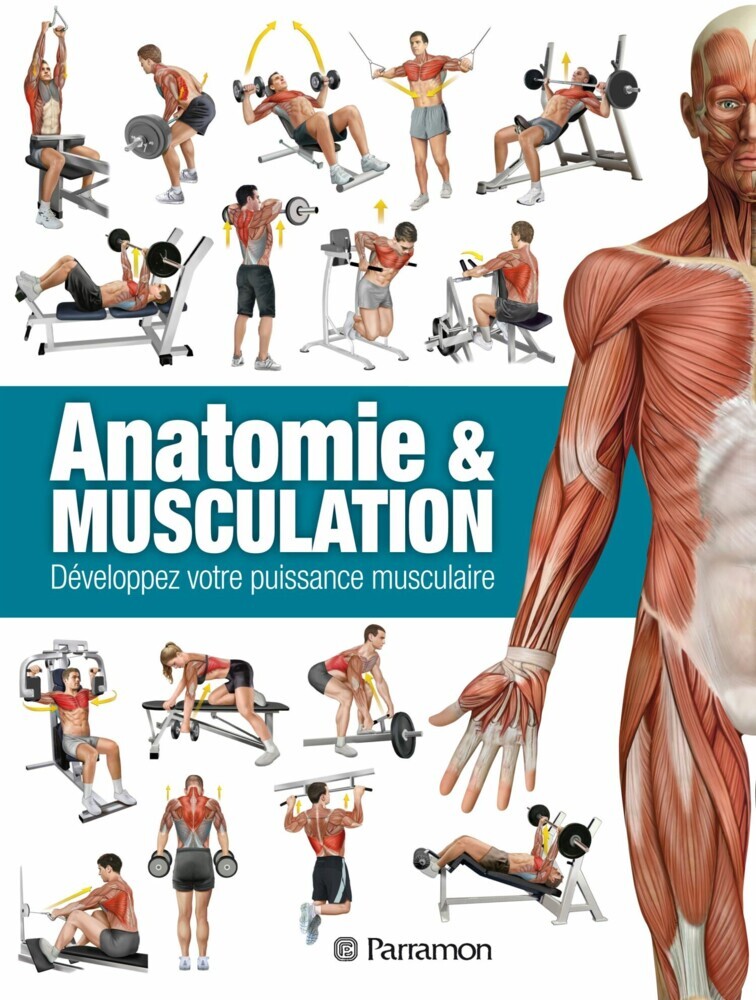 Anatomie & Musculation main product photo