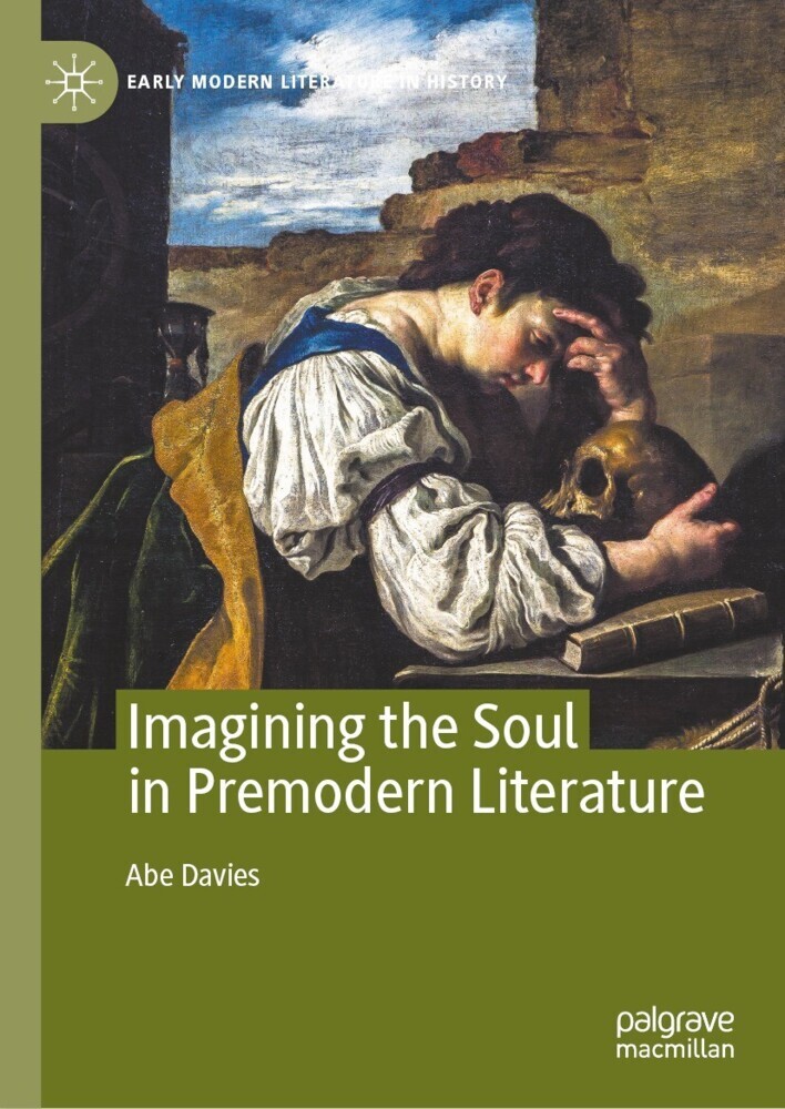 Imagining the Soul in Premodern Literature main product photo