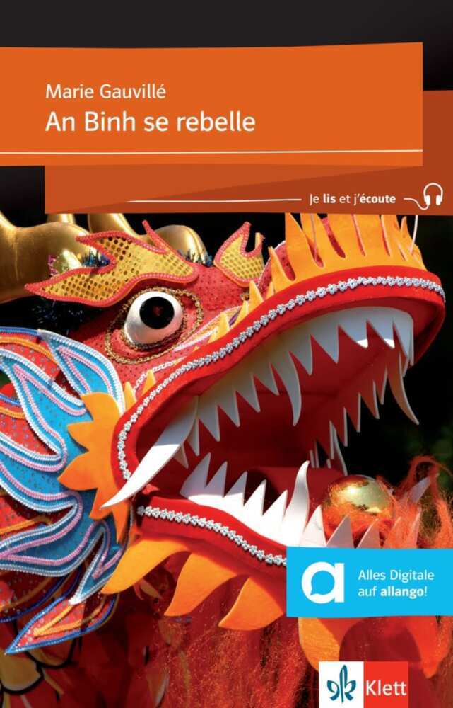 An Binh se rebelle main product photo