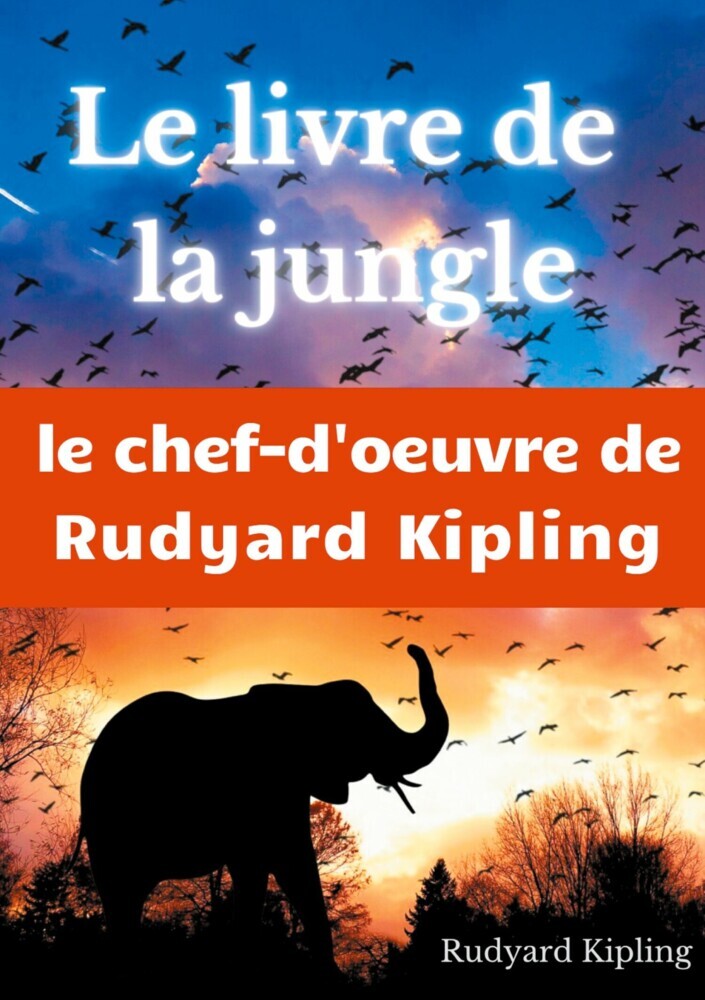 Le Livre de la jungle main product photo