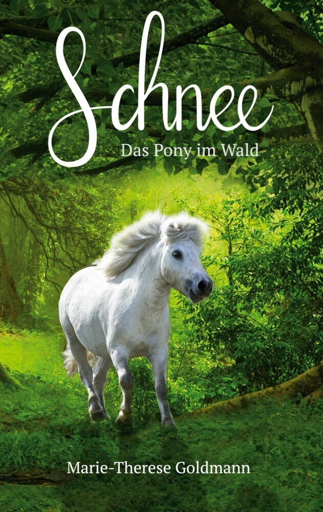 Schnee main product photo