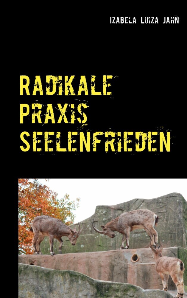Radikale Praxis Seelenfrieden main product photo