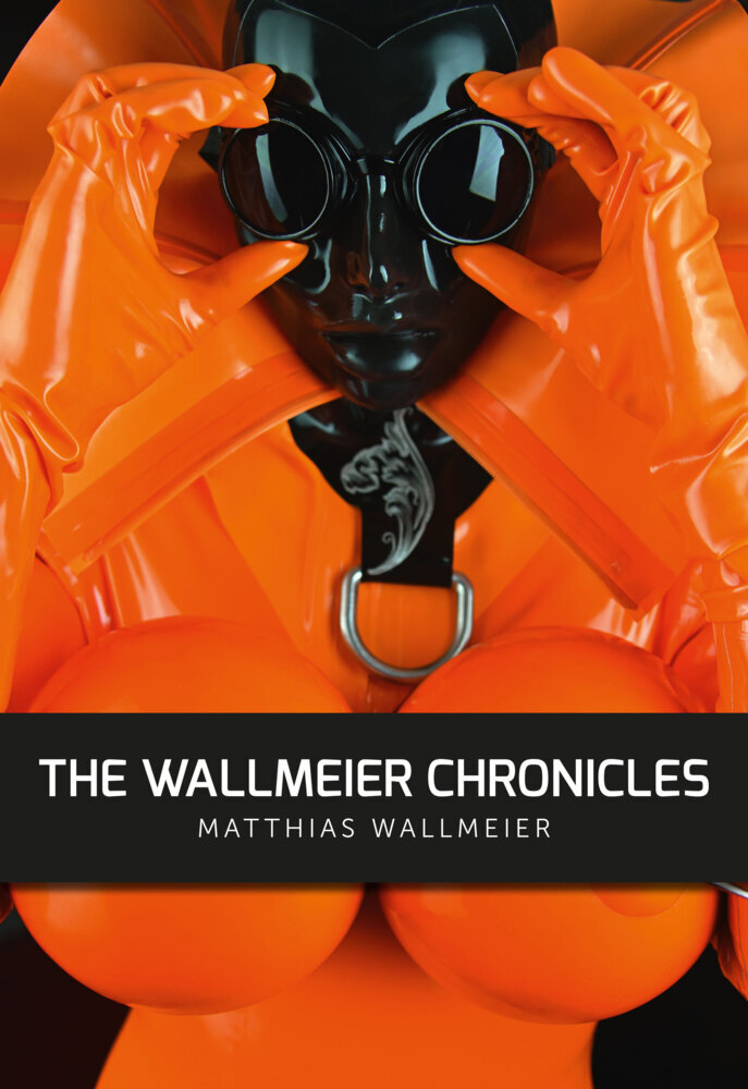 The WALLMEIER CHRONICLES main product photo