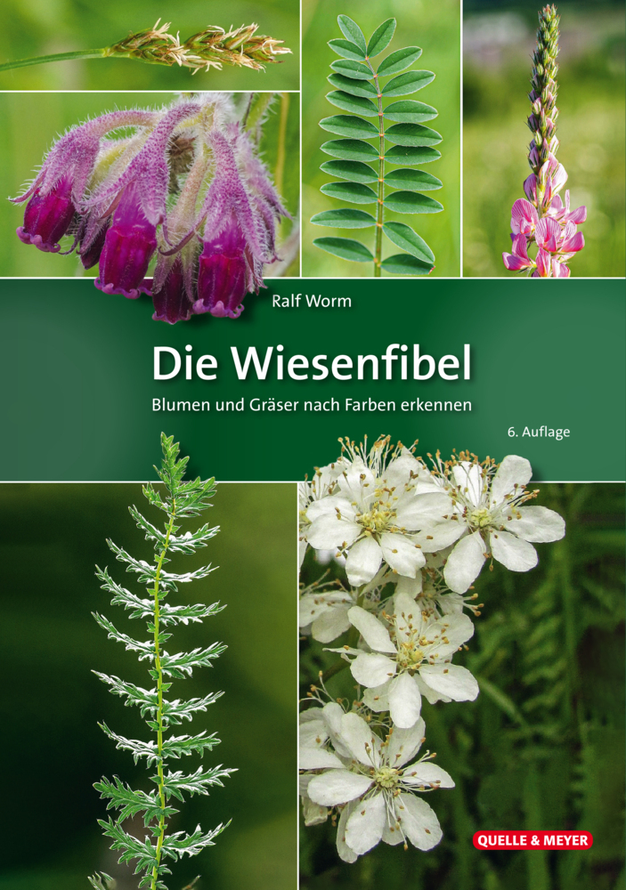 Die Wiesenfibel main product photo