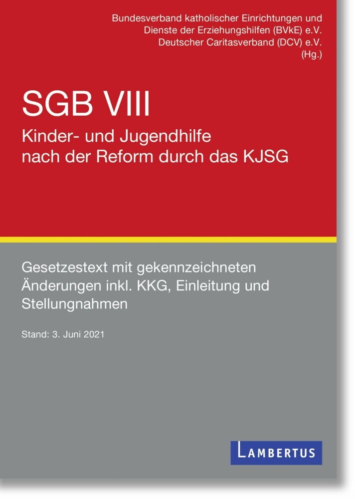 SGB VIII - Kinder- und Jugendhilfe nach der Reform durch das KJSG main product photo
