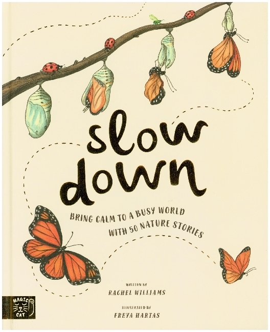Slow Down main product photo