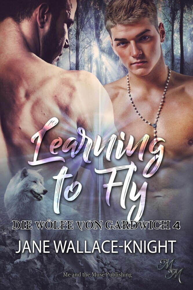 Learning to Fly: Fliegen lernen main product photo