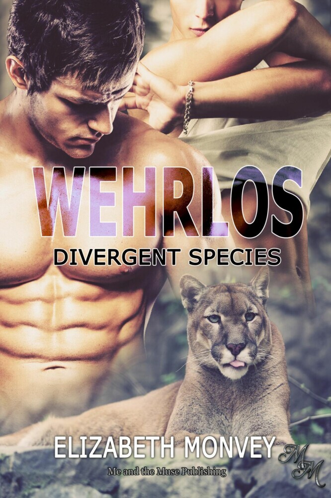 Wehrlos main product photo