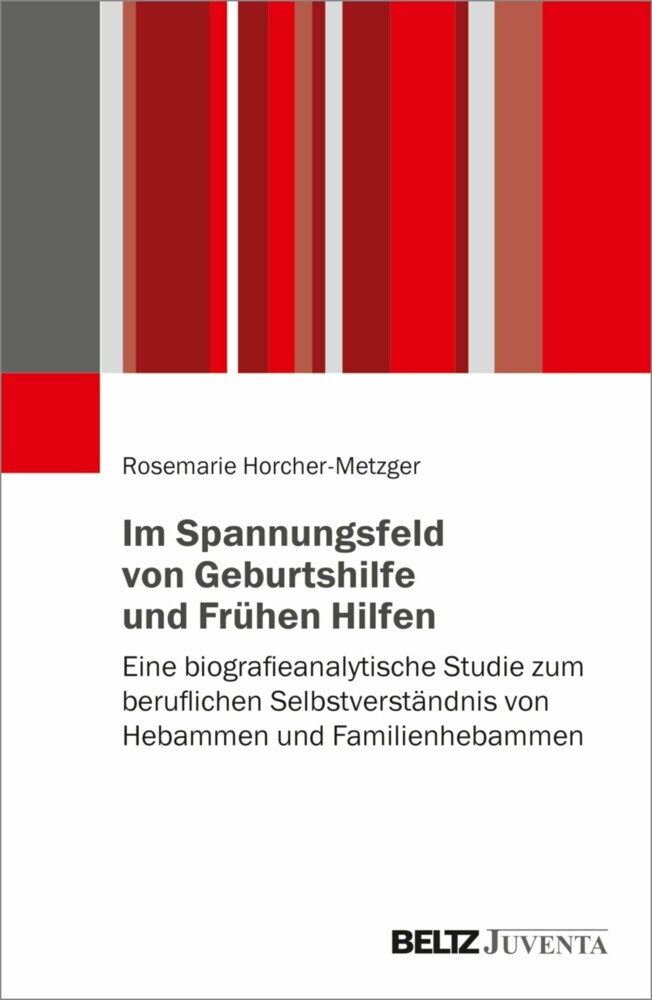 Im Spannungsfeld von Geburtshilfe und Frühen Hilfen main product photo