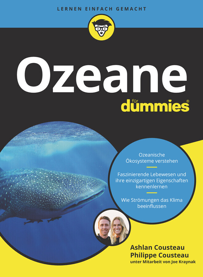 Ozeane für Dummies main product photo