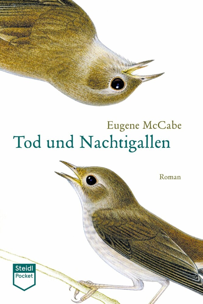 Tod und Nachtigallen (Steidl Pocket) main product photo