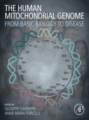 The Human Mitochondrial Genome