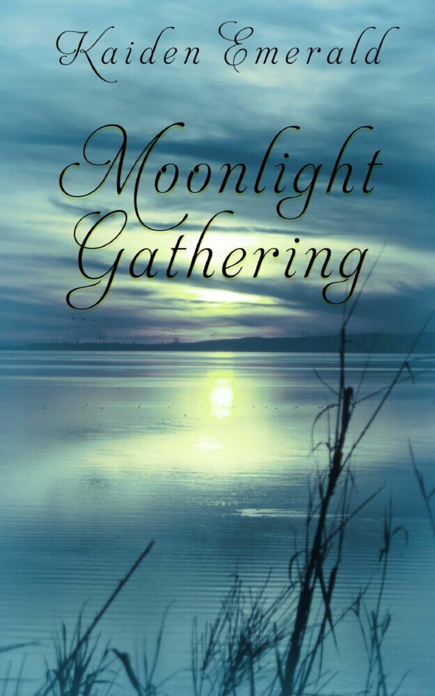 Moonlight Gathering main product photo