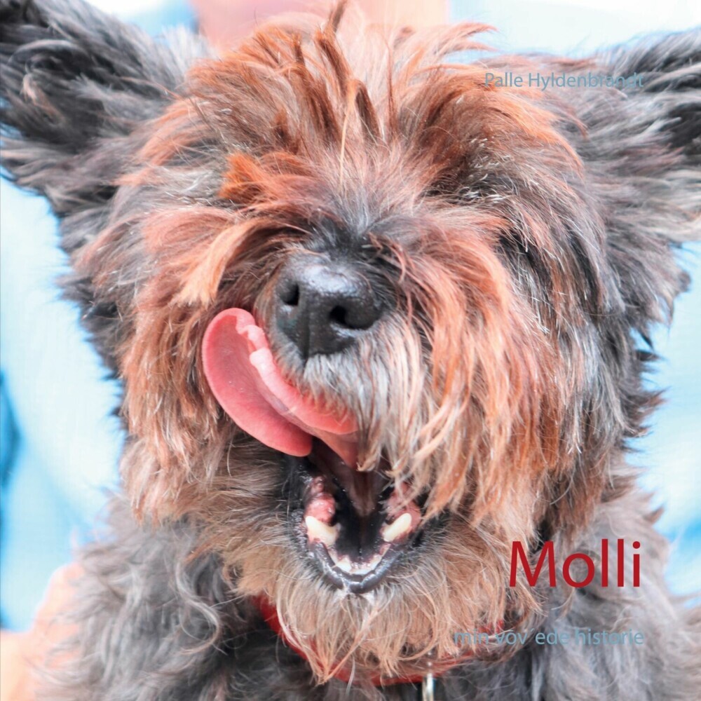 Molli main product photo