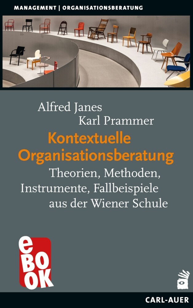 Kontextuelle Organisationsberatung main product photo