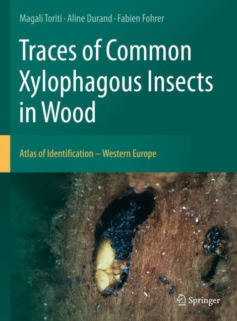 Traces of Common Xylophagous Insects in Wood main product photo