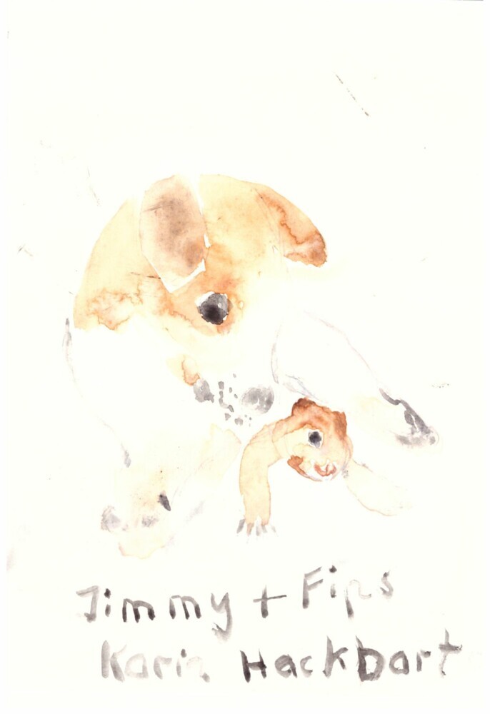 Jimmy und Fips main product photo