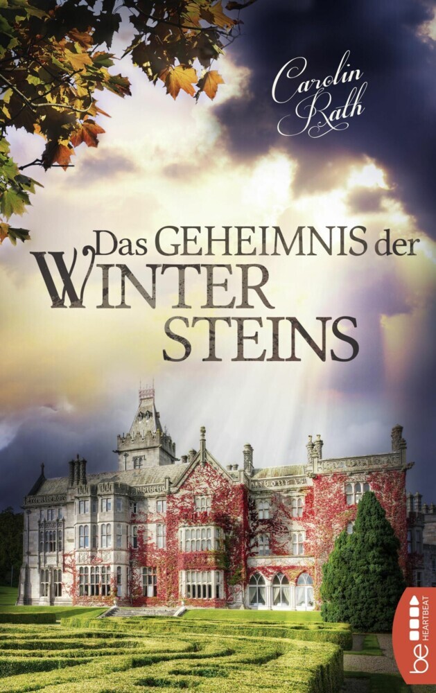 Das Geheimnis der Wintersteins main product photo