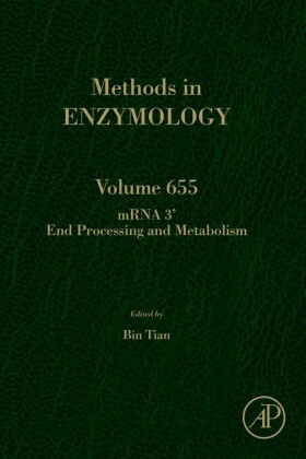 mRNA 3' End Processing and Metabolism
