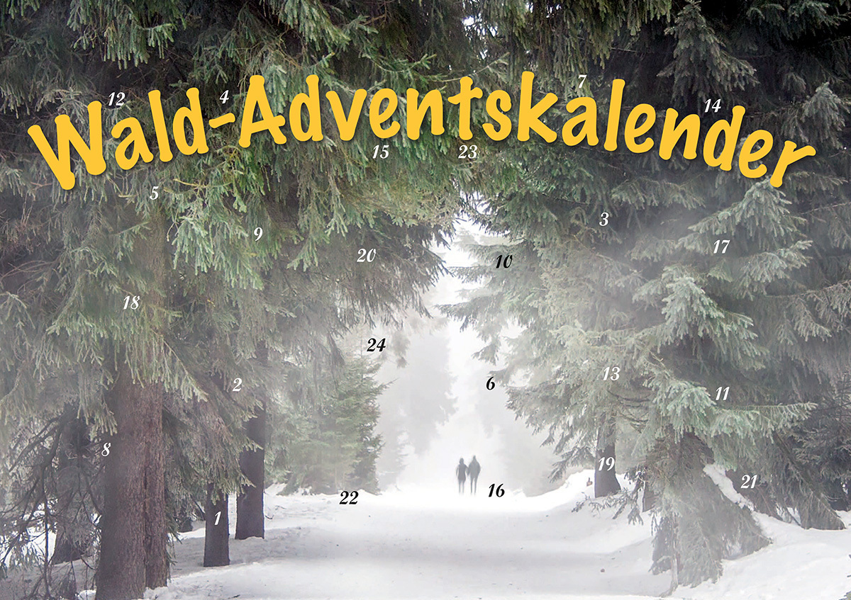Durch den Wald im Advent main product photo