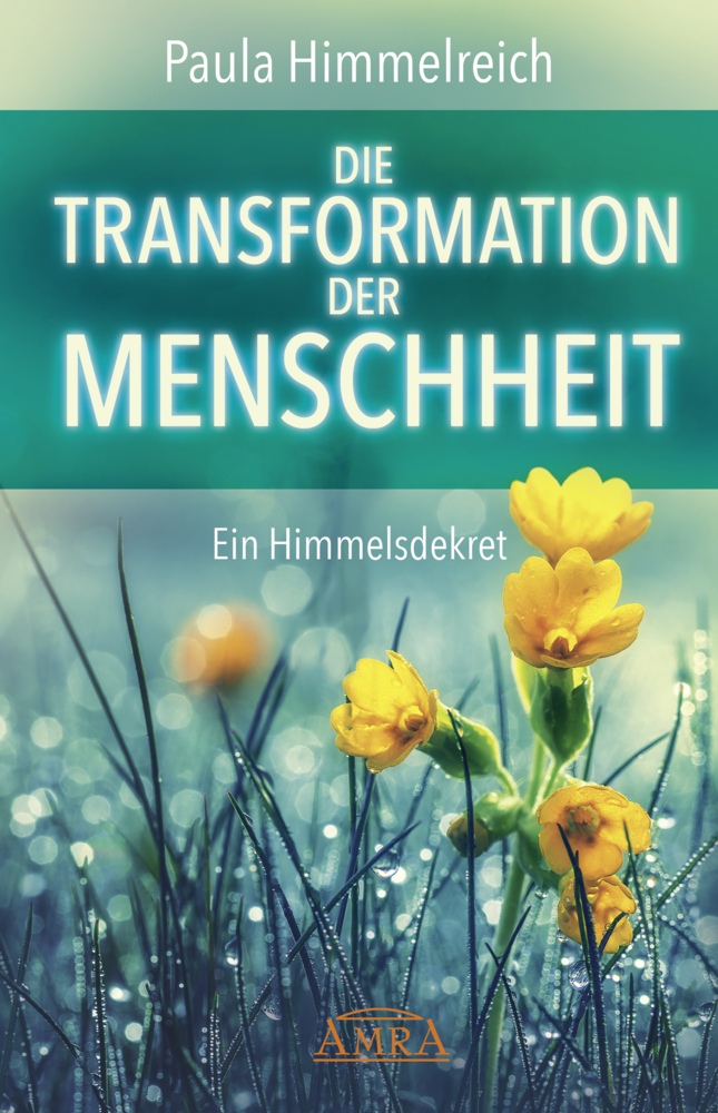 DIE TRANSFORMATION DER MENSCHHEIT main product photo