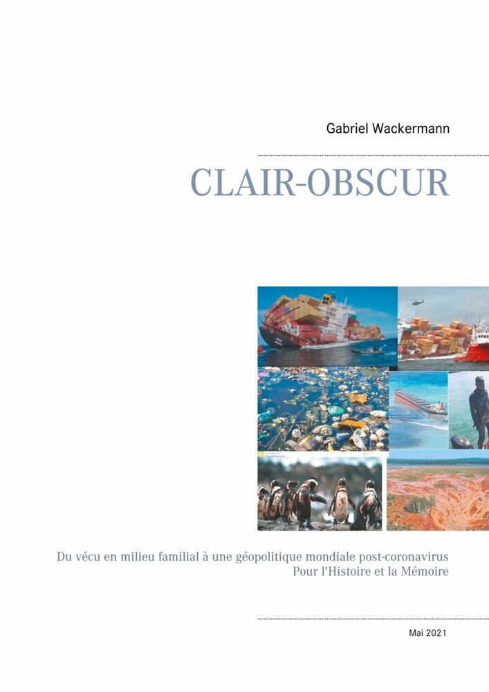 CLAIR-OBSCUR main product photo
