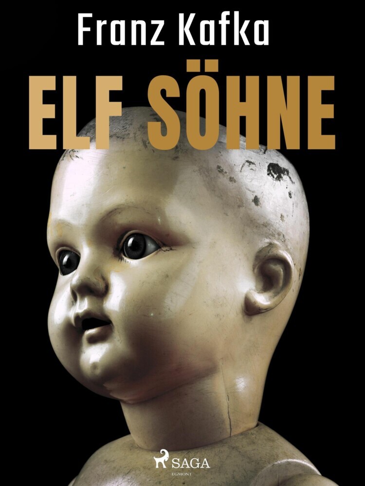 Elf Söhne main product photo