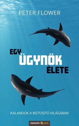 Egy ügynök élete