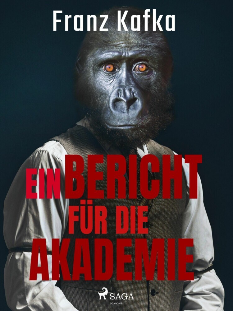 Ein Bericht für die Akademie main product photo