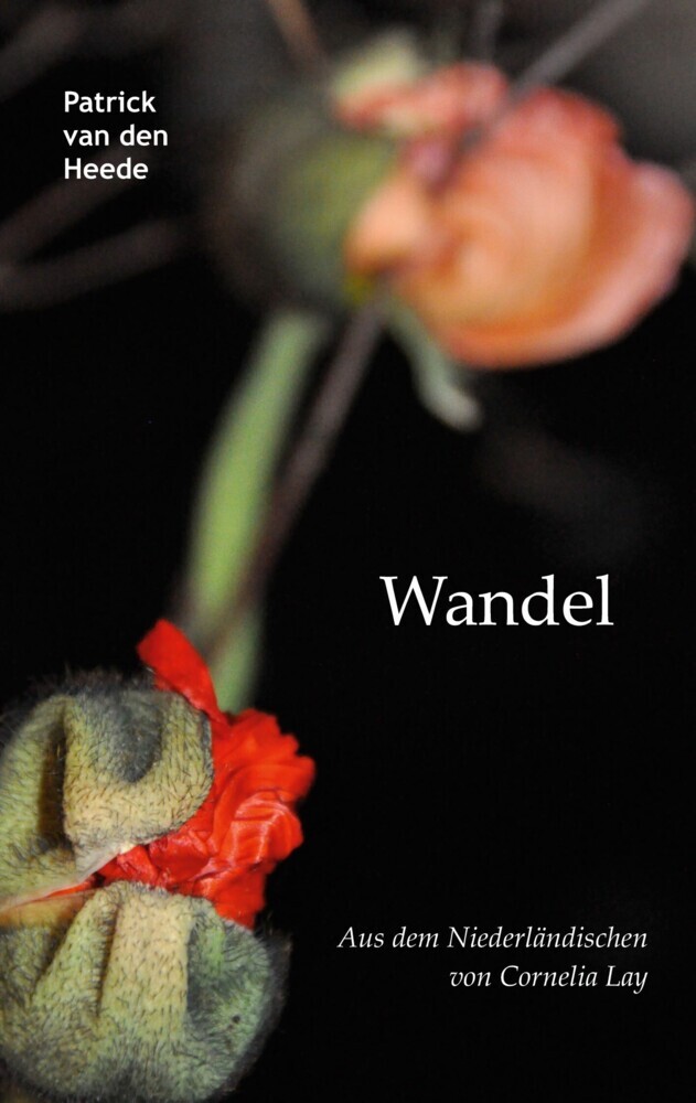 Wandel main product photo