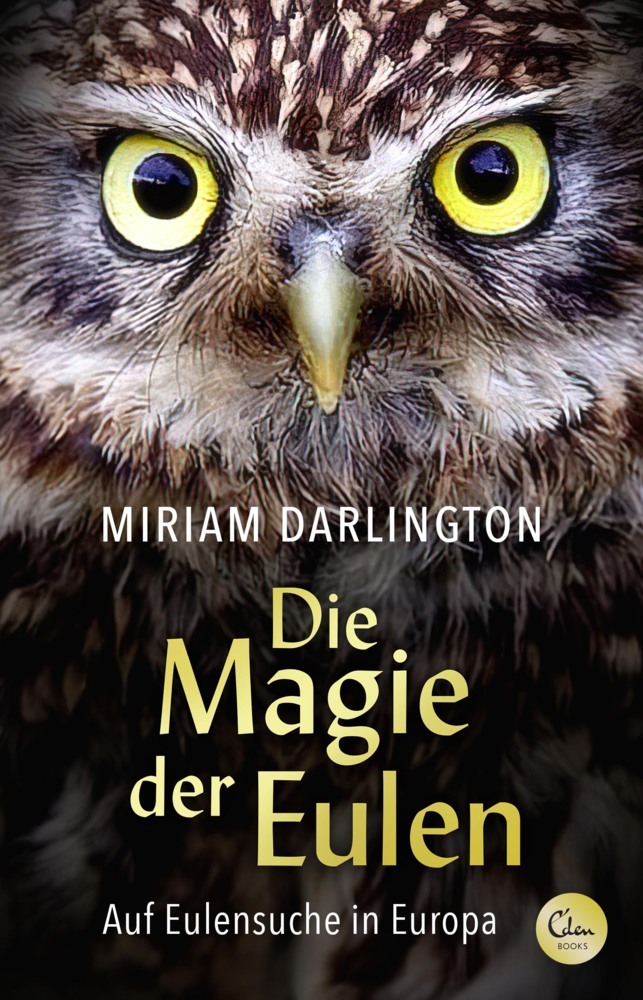 Die Magie der Eulen main product photo
