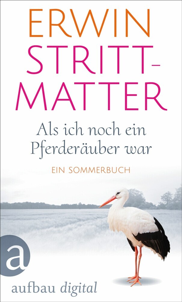 Als ich noch ein Pferderäuber war main product photo