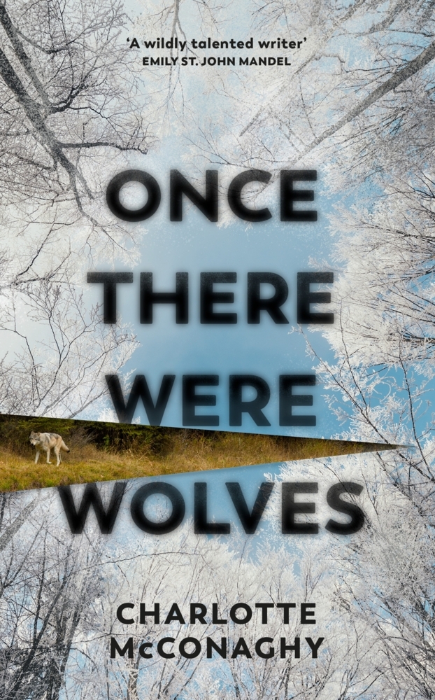 Once There Were Wolves main product photo