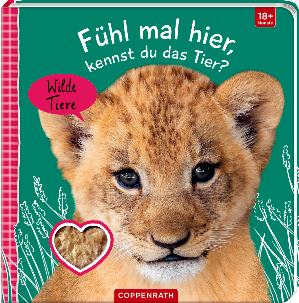 Fühl mal hier, kennst du das Tier? Wilde Tiere main product photo