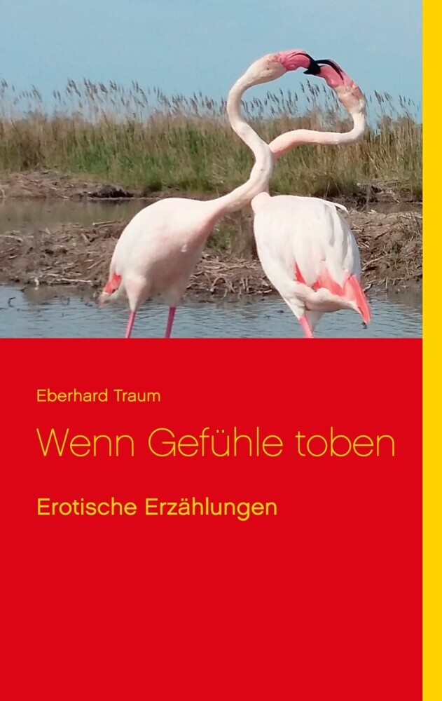 Wenn Gefühle toben main product photo