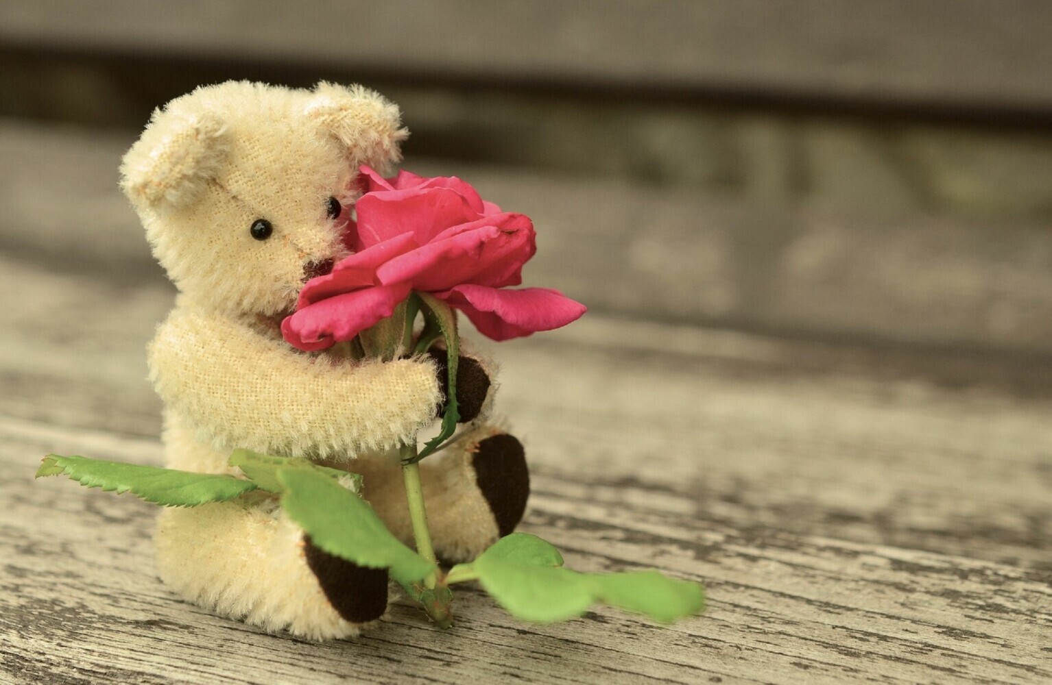 Mehr Liebe - more fun main product photo