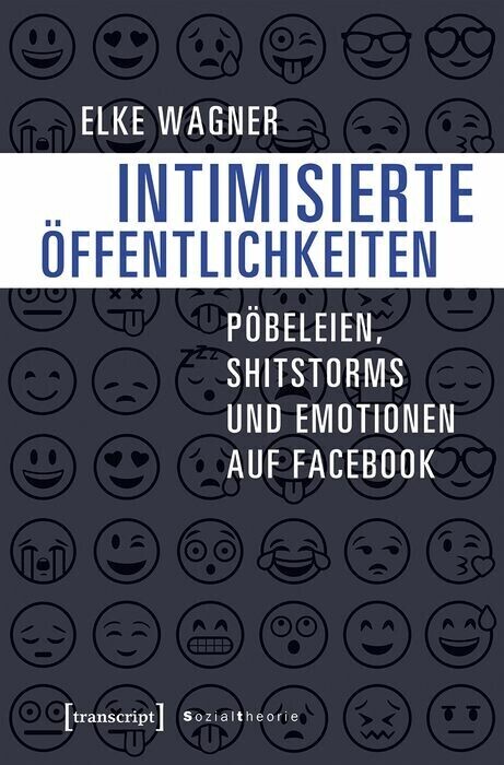 Intimisierte Öffentlichkeiten main product photo